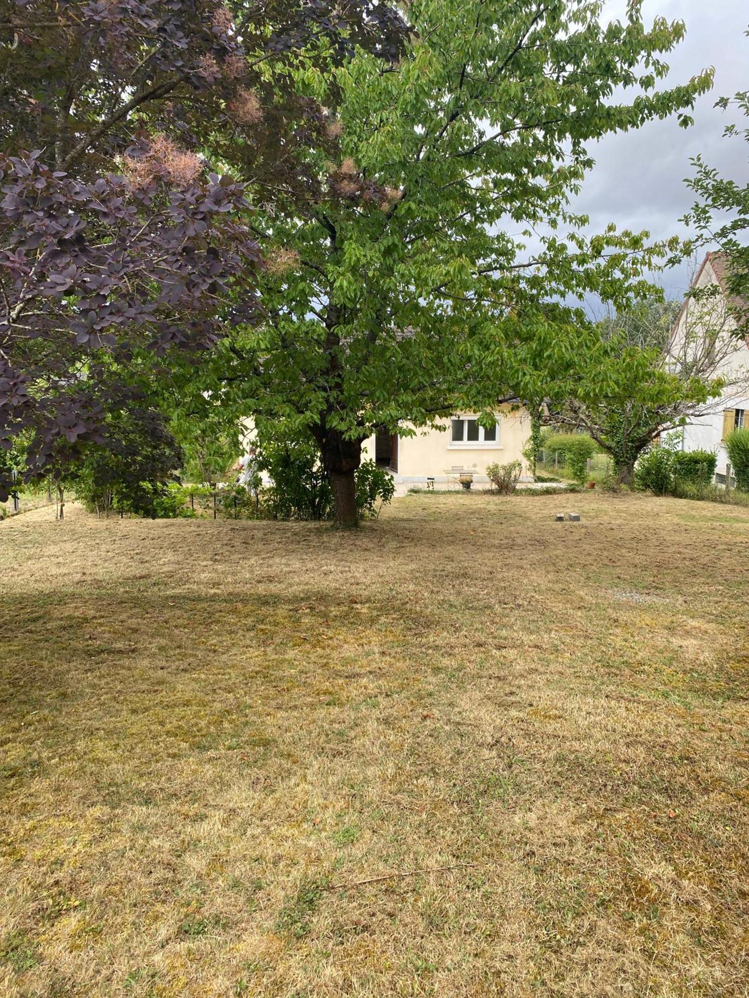 Au Calme - Maison Avec Grand Jardin - Proche Zoo De Beauval Vicq-sur-Nahon Exteriör bild